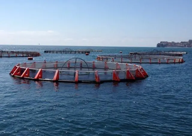 00_66274_Offshore-Mariculture-Conference-2017