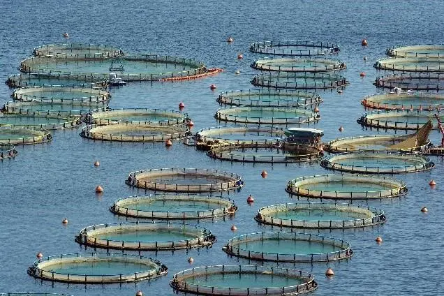 00_66278_International-institutions-to-attend-Offshore-Mariculture-soon-to-take-place-in-Ensenada2C-Ba