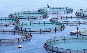 00_66280_Fish-Farm