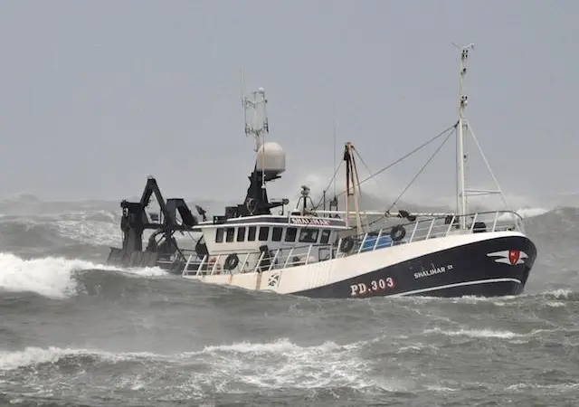 This assessment could increase the supply of MSC labelled UK hake by 13,000 tonnes a year