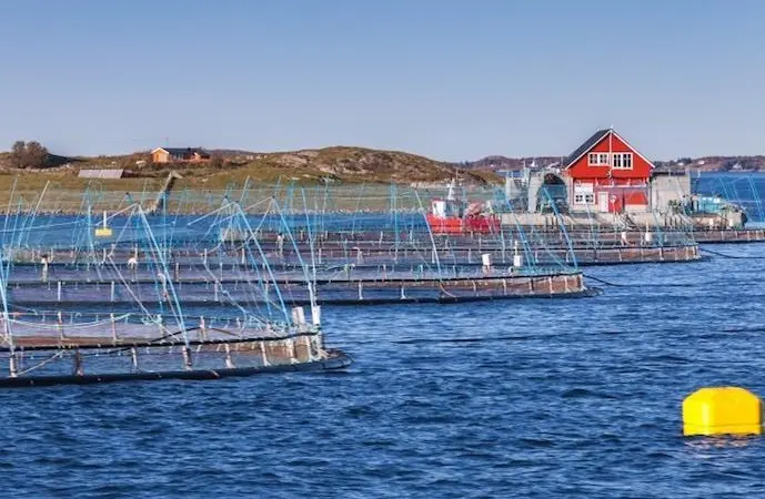 Norwegian fish farm in a fjord near Trondheim