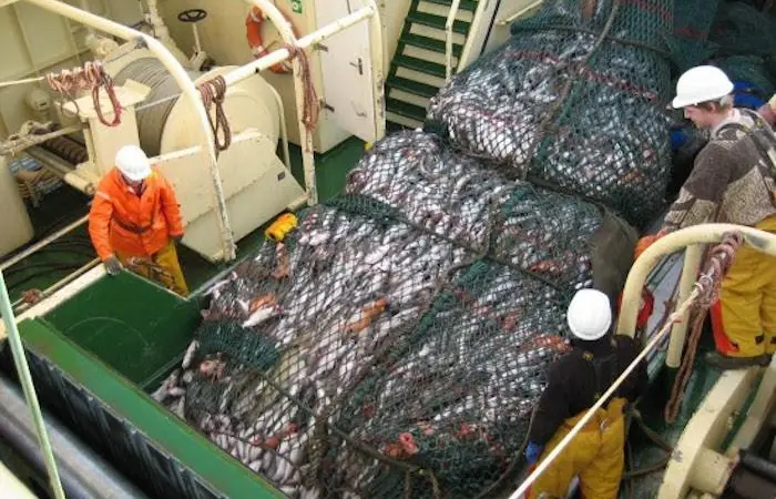 Bergur-Huginn’s trawler Bergey