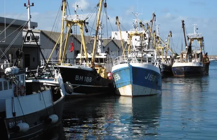 TESS (Tools for Ethical Seafood Sourcing)