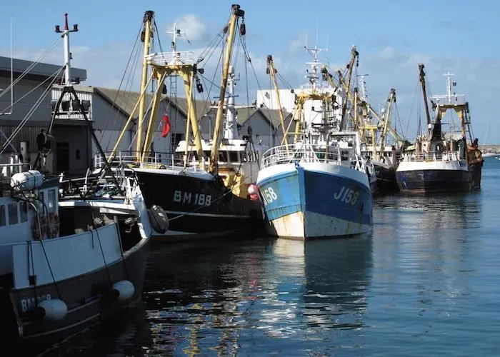 TESS (Tools for Ethical Seafood Sourcing)