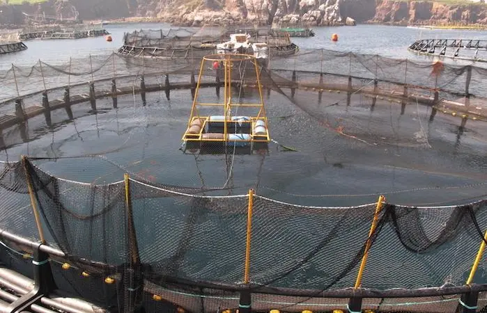 ASC's standard is dedicated to measurably improving the environmental and social performance of aquaculture producers