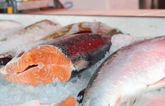 China’s salmon imports booming