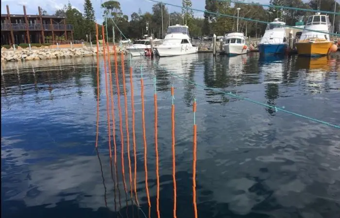 Seabird safe tech