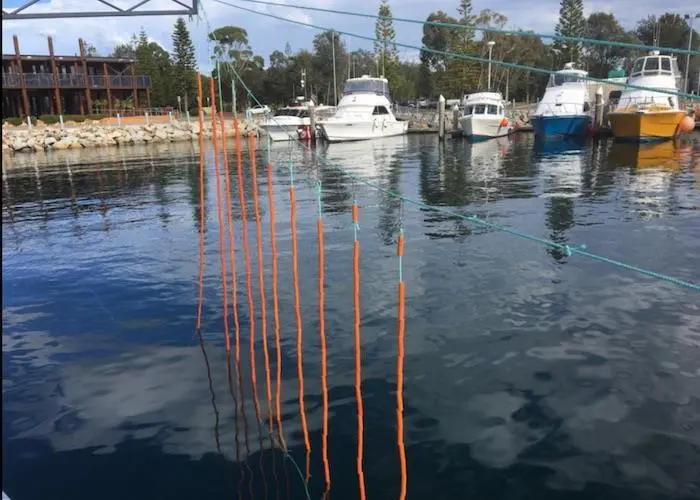 Seabird safe tech