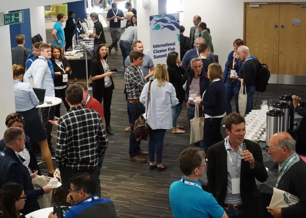 Cleaner Fish Summit