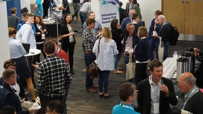 Cleaner Fish Summit