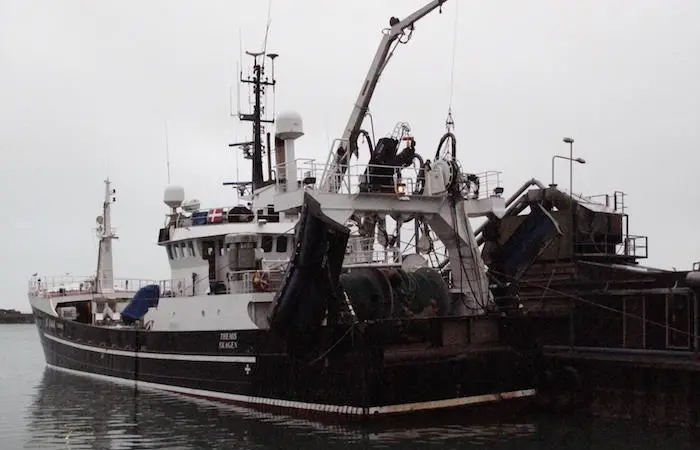Swedish trawler ‘Themis’ landing at 999's Thyborøn factory