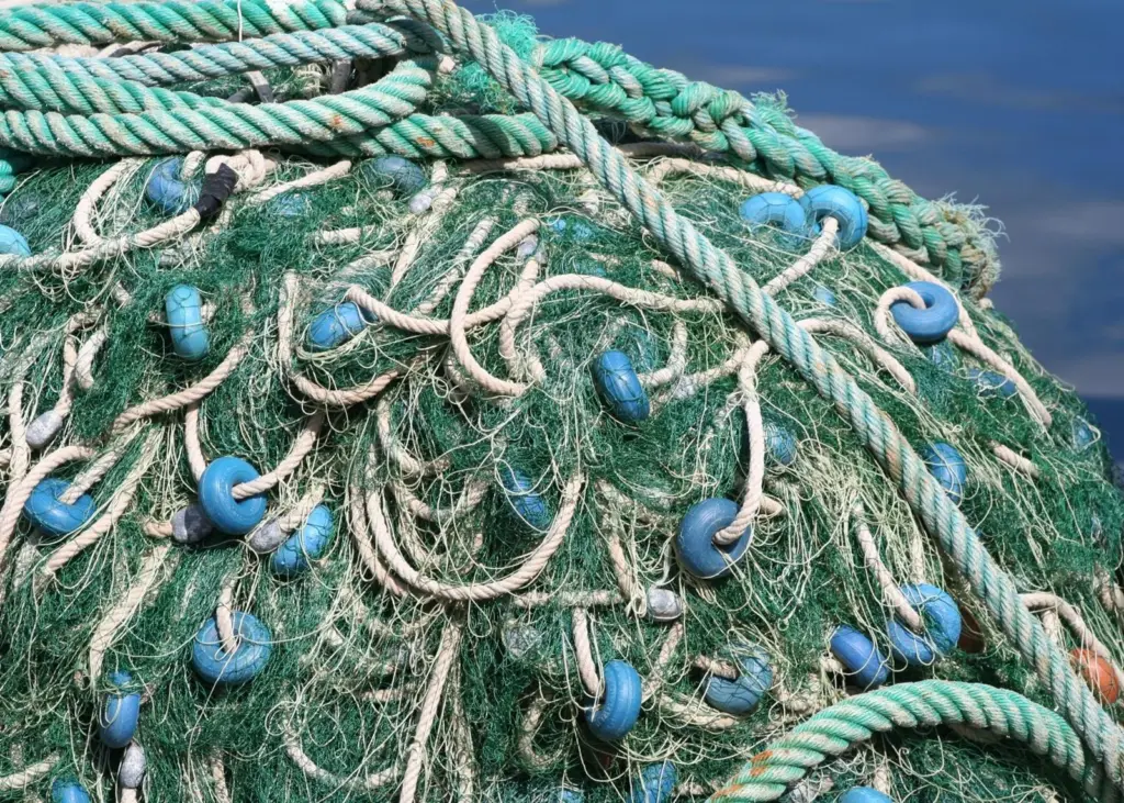 Mauritius sustainable fishing