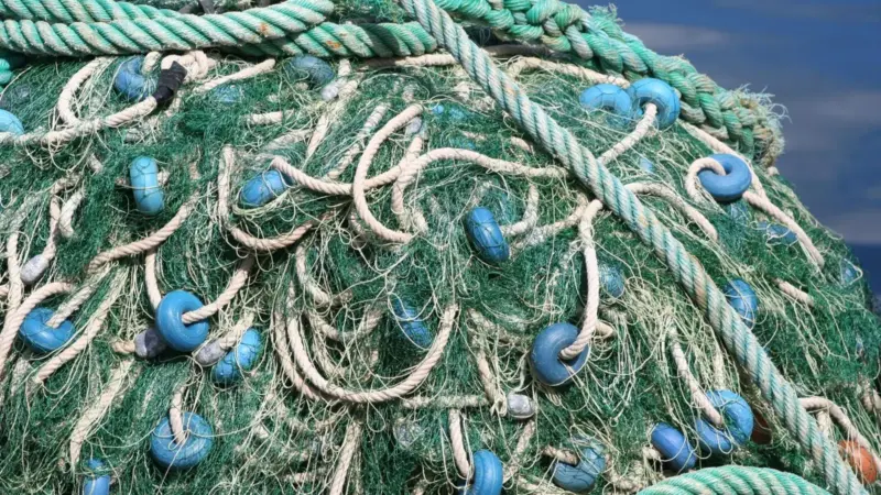 Mauritius sustainable fishing