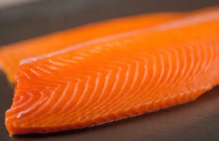 Ventisqueros will use BioMar´s Silverside Premium Coho Salmon Feed to produce a Premium Pacific Salmon
