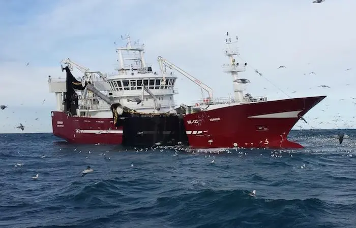Capelin MSC certified