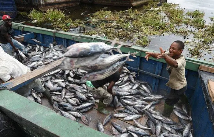 Fishing Subs