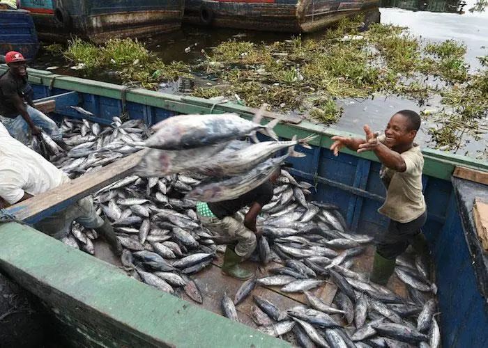 Fishing Subs