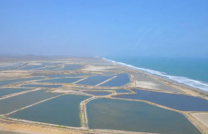 BioMar has been servicing Latin American shrimp farmers from its in Costa Rica since 2016