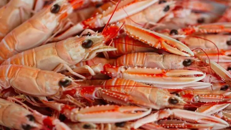 prawns