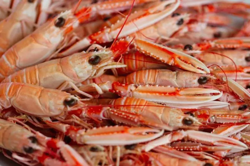 prawns