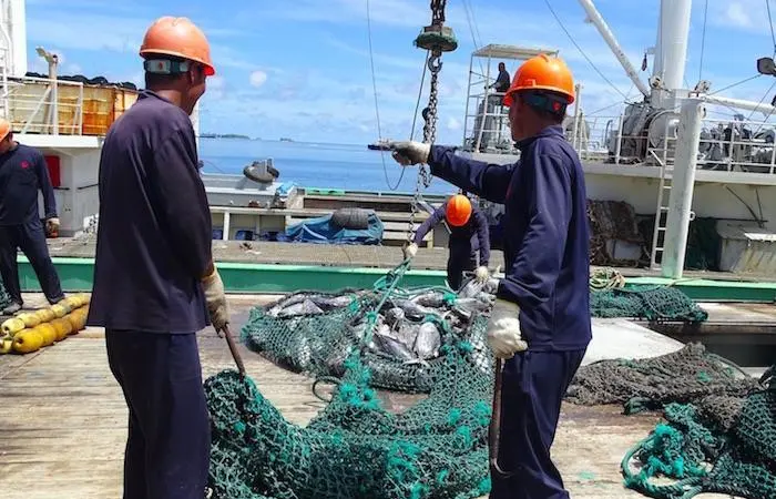 Tuna