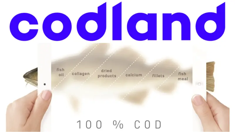 00_66039_codland-3