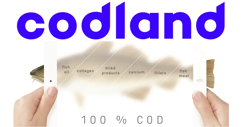 00_66039_codland-3