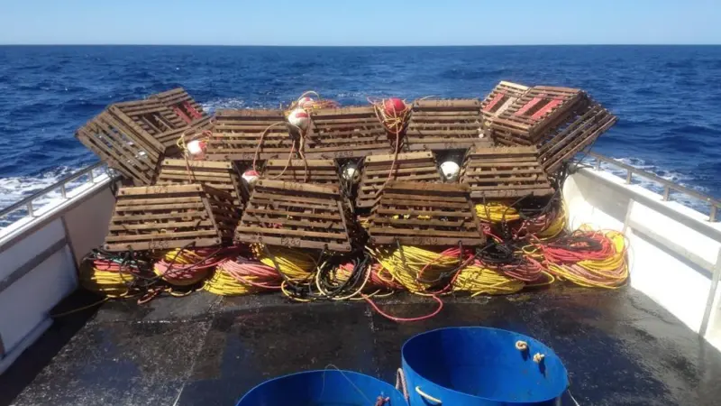 WRLC boat