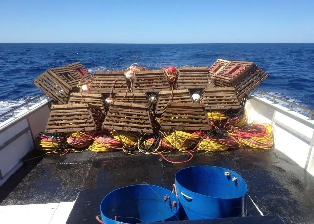 WRLC boat