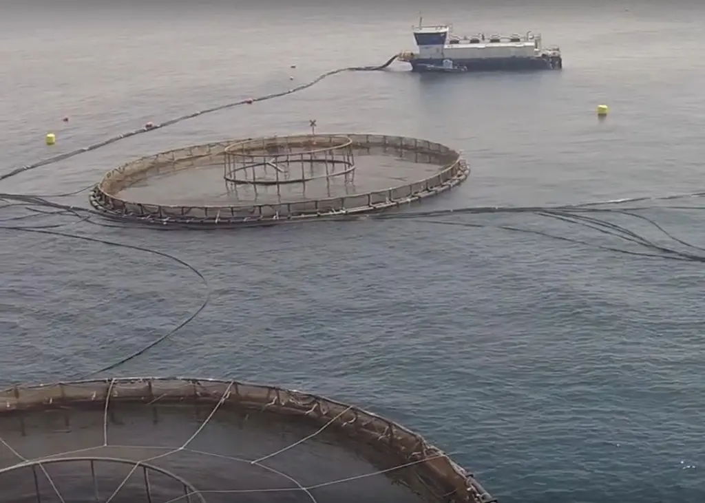 NAQUA owns farms strategically located next to the coast of the Red Sea in Saudi Arabia