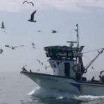 fishing vessel