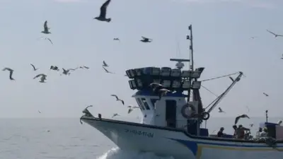 fishing vessel