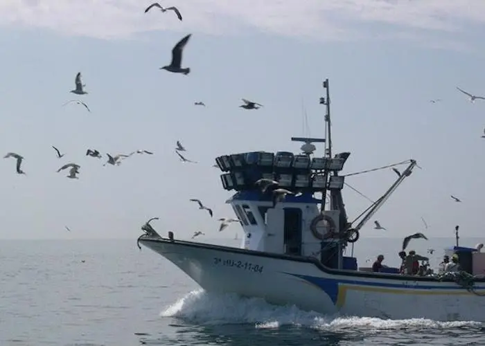 fishing vessel