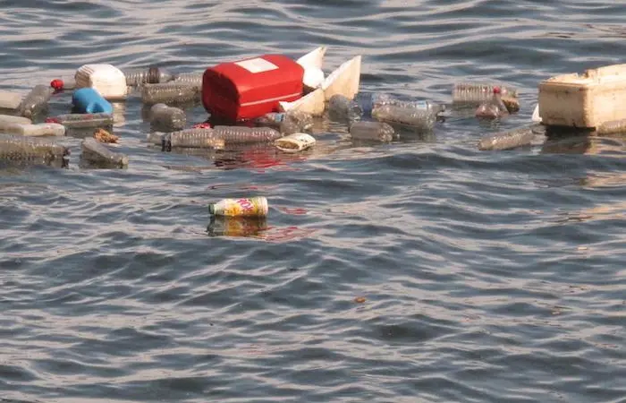 The Plastic Menace