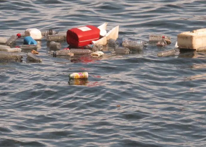 The Plastic Menace