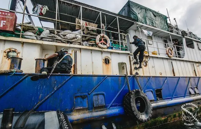 Sea Shepherd, Gabon