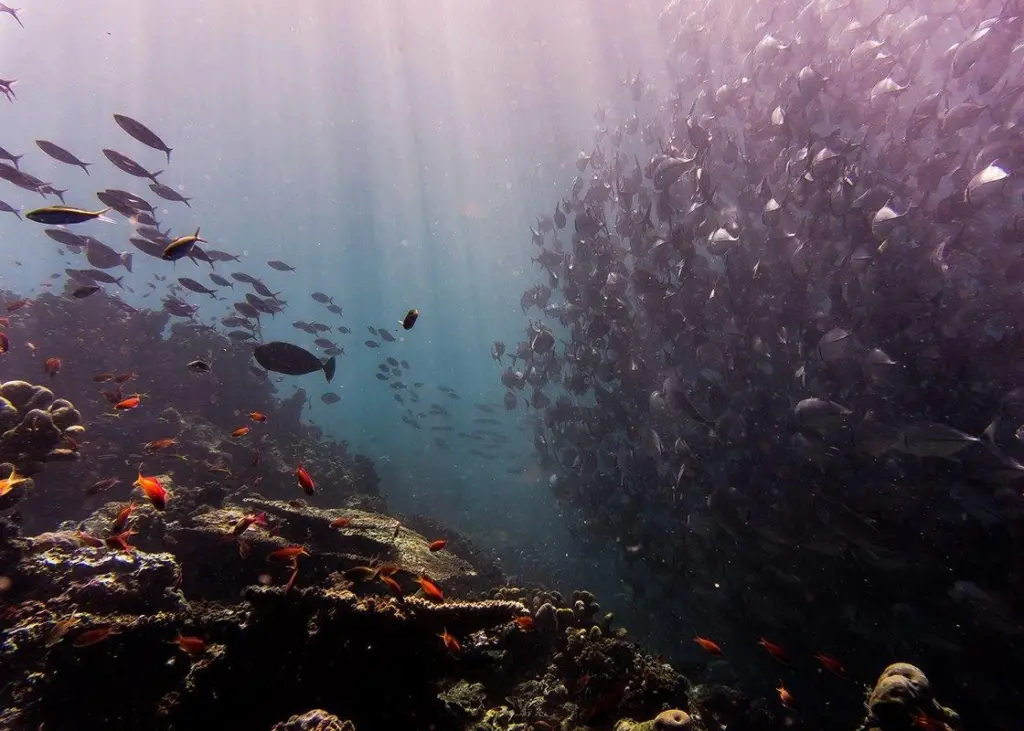 aquaculture