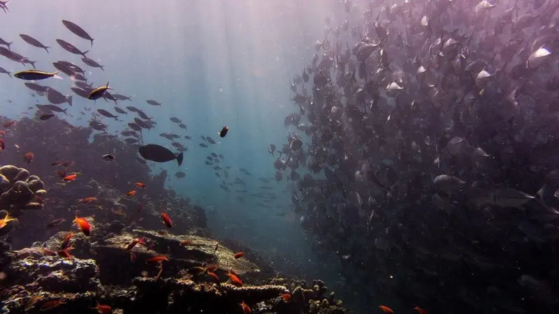 aquaculture