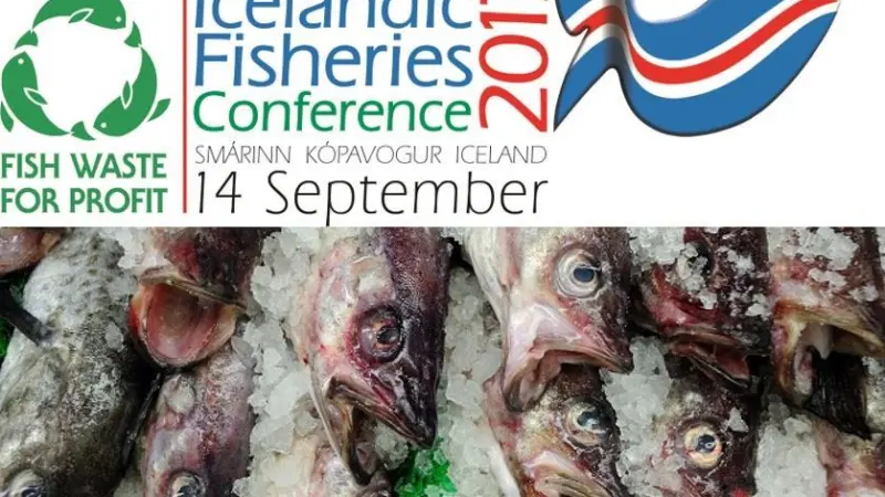 Fish for Waste