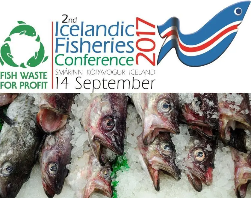 Fish for Waste