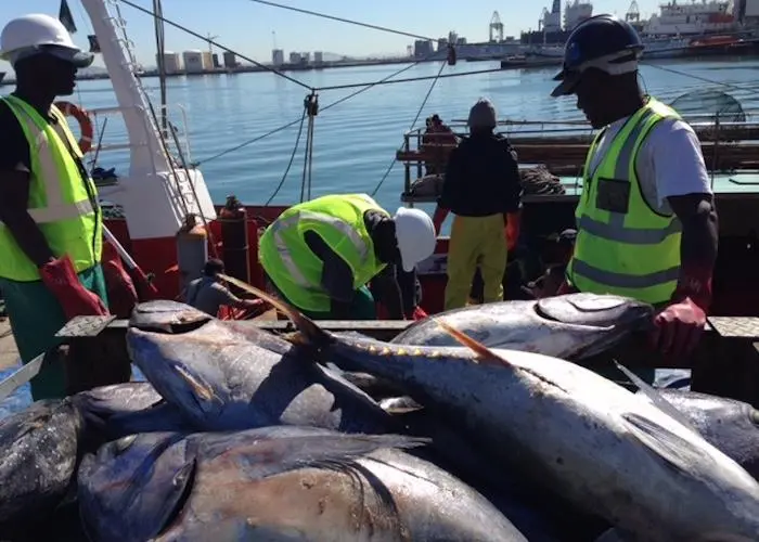 Tuna