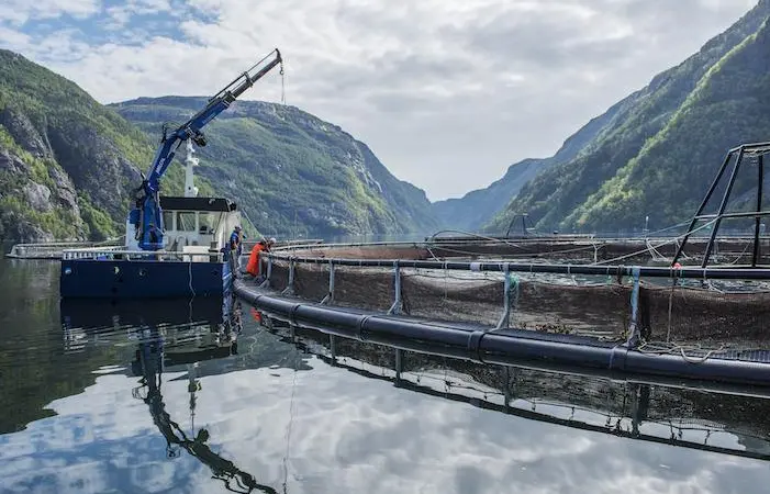 CleanTreat cleanses the treatment water after delousing to ensure it's clean before it is released back into the fjords