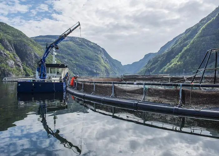 CleanTreat cleanses the treatment water after delousing to ensure it's clean before it is released back into the fjords