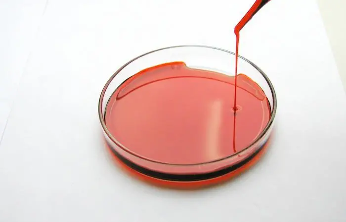 Antarctic krill