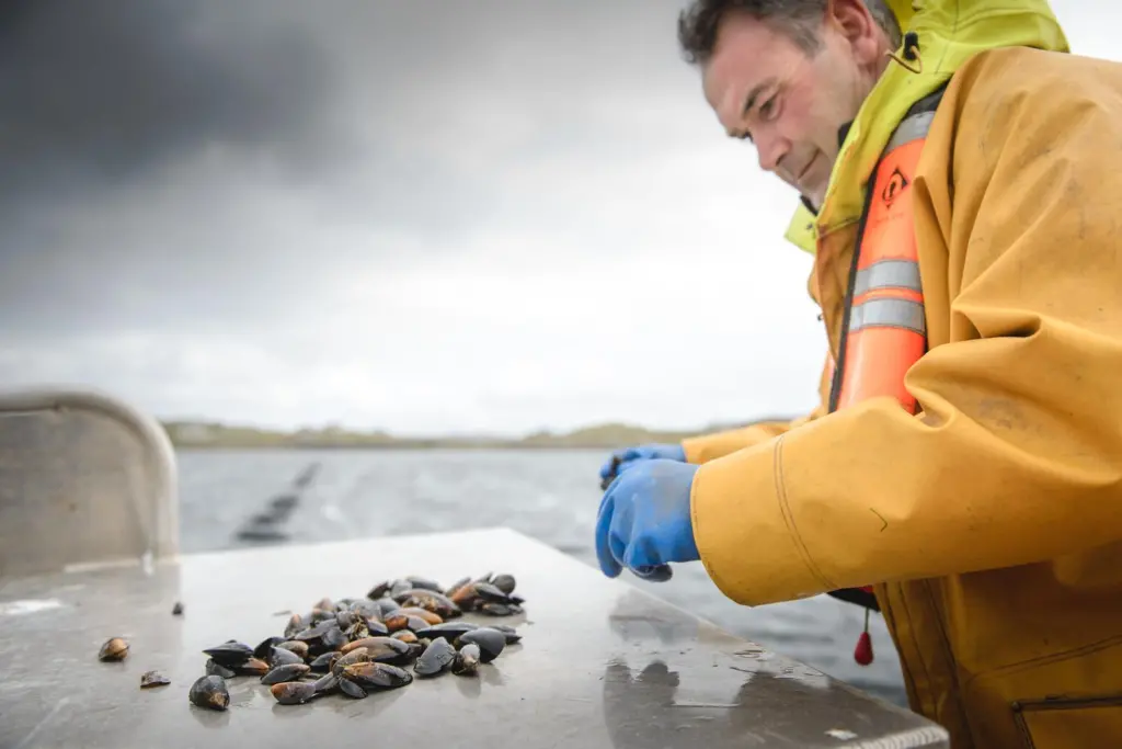 Loch Fyne Ltd has received ASC certification for its blue mussel farming operations