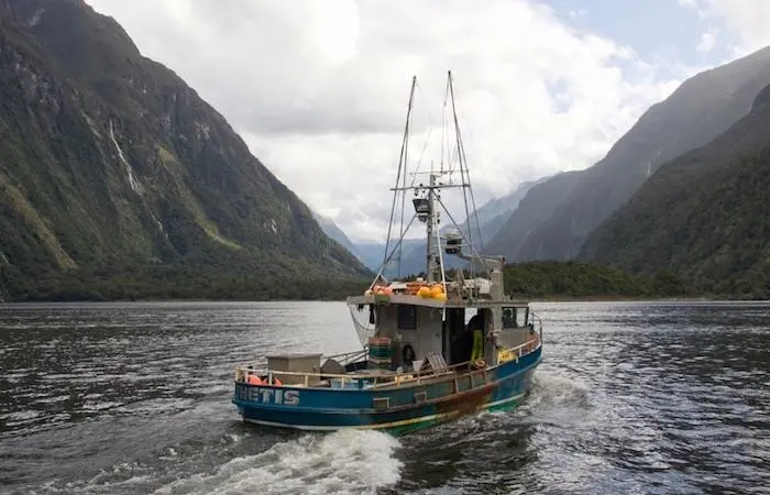 TMA supports a fleet of owner-operated domestic vessels Photo: ©Tuna Management Association of New Zealand