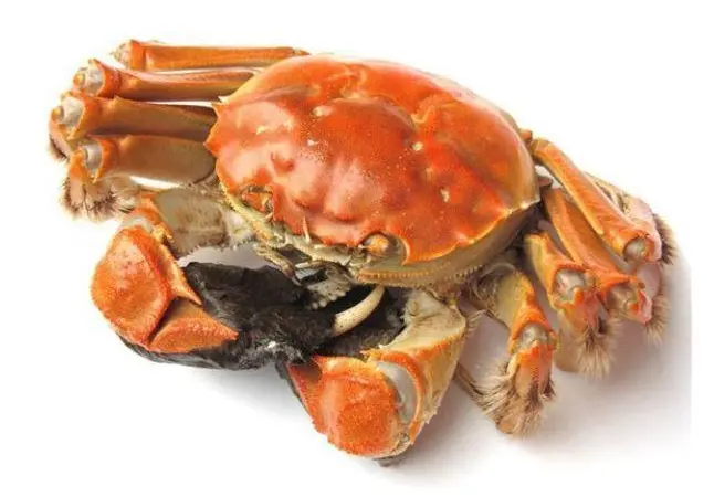 A Chinese hairy crab farm has become the world’s first crab farm of any kind to earn BAP certification