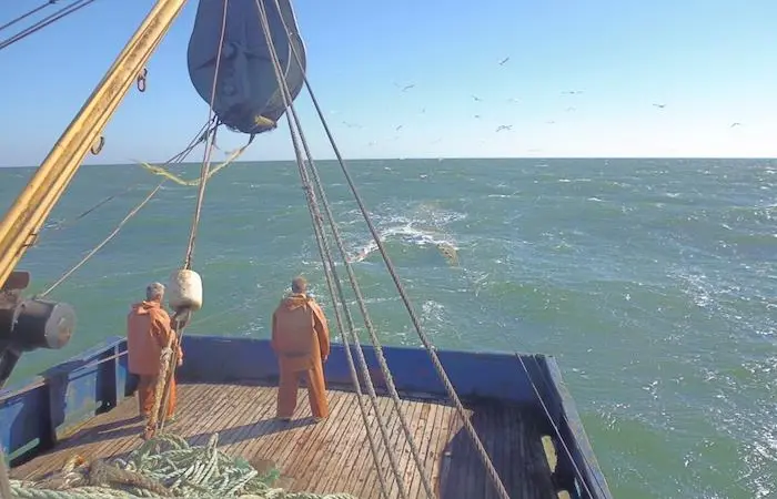 Russia's new fish taxes