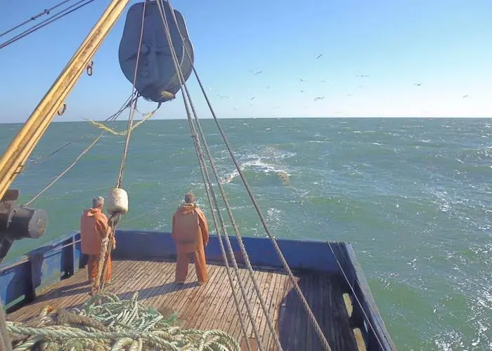 Russia's new fish taxes