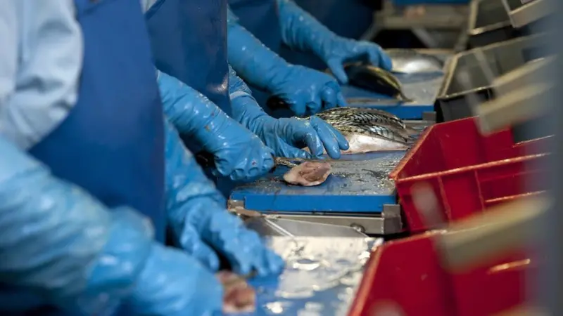 Seafish labour